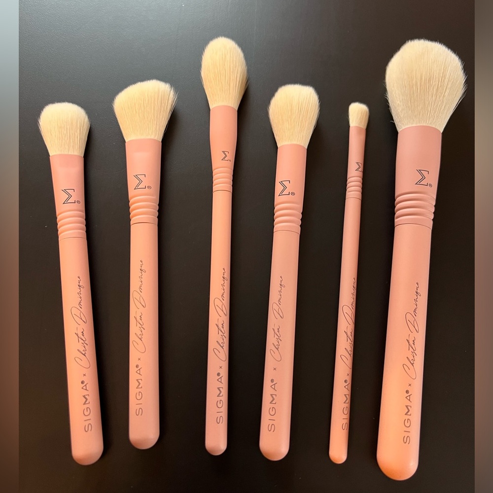 Sigma x Christine Dominique brush set
